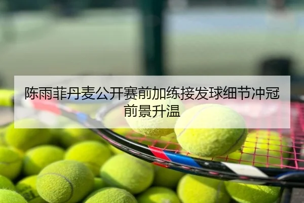 陈雨菲丹麦公开赛前加练接发球细节冲冠前景升温